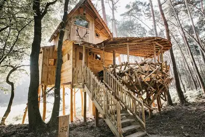 Image de Warredal's most beautiful treehouse
