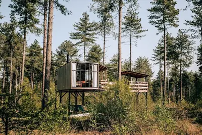 Image de Spend the night in a real tree house with elements to discover!