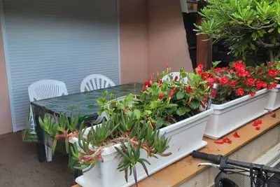 Image de Appt 4/6 pers, terrasse, clim, plage à 100m