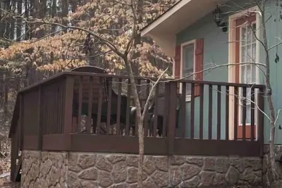 Image de Cozy Lake Hartwell Retreat