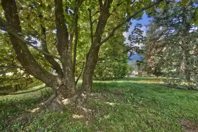 Image de Villa 'Rosa' avec vue sur le lac, Wi-Fi et climatisation