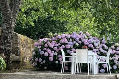Image de Cozy, comfortable, surrounded by greenery in the historic center