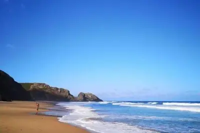 Image de Salty Minds Rogil