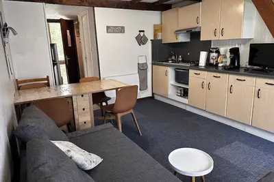 Image de Studio face aux pistes La Bresse