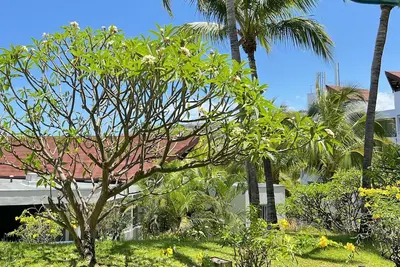 Image de Appartement T2 Le Letchi 44 m2 Saint Gilles - Boucan Canot à 300m de la plage