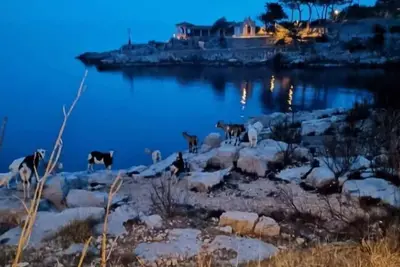 Image de 2-Bdrm SuperiorApt. ResortView @ Sanpier Apartments