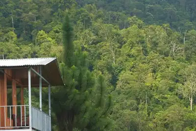 Image de Cabaña para dos con una increíble vista al bosque de Platanillo