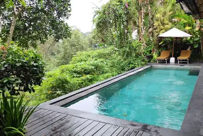 Villa Damai Shanti Jungle View villa.