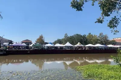 Image de Bayou Bungalow