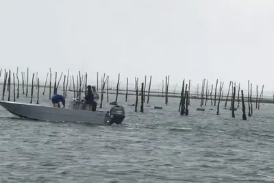 Image de 1 bedroom flat in central Arcachon