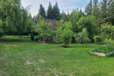 Image de Cozy Cabin, 2 min to the Hwy1, 5 minutes to the Shuswap lake