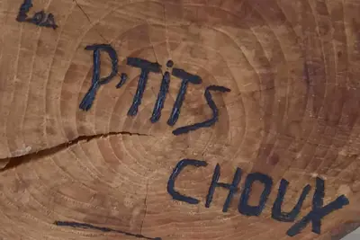 Image de Gîte Les petits choux