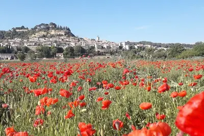 Image de Maison lumineuse avec jardin - Sud Luberon