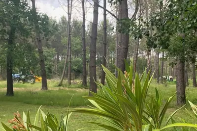 Image de Appartement Iii entre Bordeaux & la mer