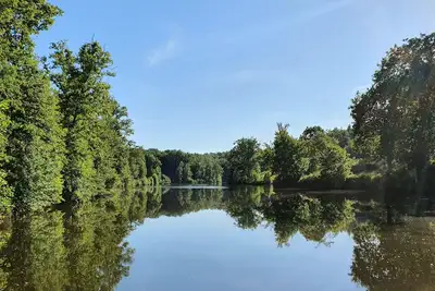 Image de Lac privé & forêt en Dordogne: calme absolu dans un gîte tout confort