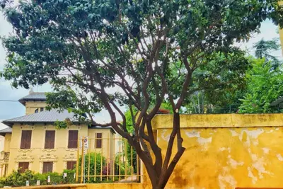 Image de Agnes House