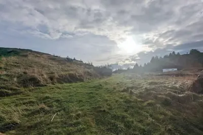 BackCove Lodge