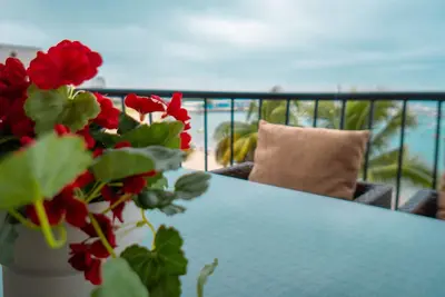 Image de Beach front apartment, Two bedroom two bath! Pet friendly 😀