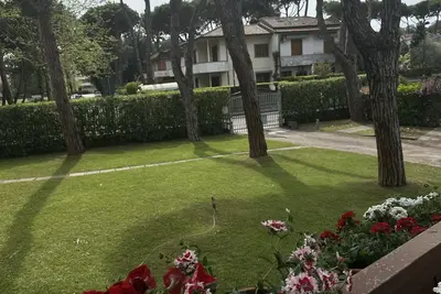 Image de Beautiful apartment is located in Pines Park 5 minutes from the beach