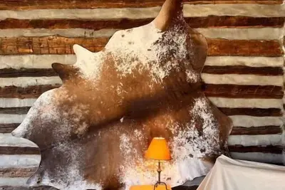 Image de Sanctuary Hill- True Mountain Cabin on the New River. Hand Hewn Logs-No drywall