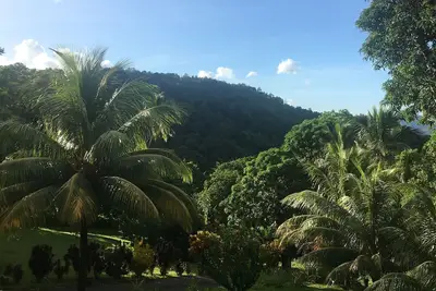 Image de A Magical Oasis. . . Minutes from several beaches