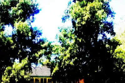 Image de Wilga Homestead - Idyllic family farm stay