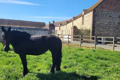 Image de Gîte pittoresque avec nature, Wi-Fi, Bbq et terrasse privée