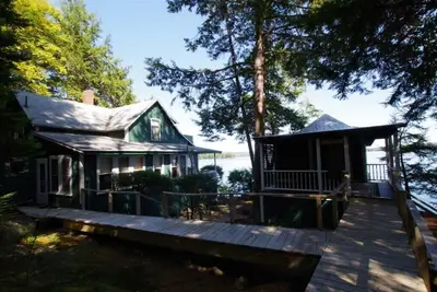 Image de Rock Fern Summary:<br>La