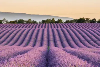Image de Appartement panoramique