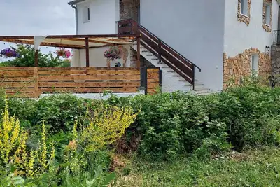 Image de Mimosa Istria