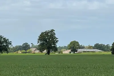 Image de Scandi designed rural bolthole in peaceful and beautiful Suffolk countryside