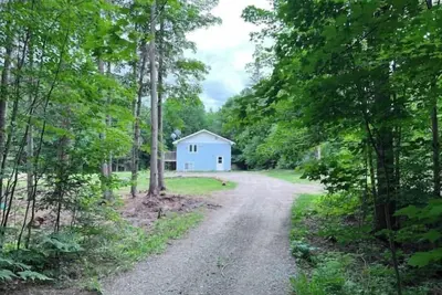 Image de Serenity In The Trees