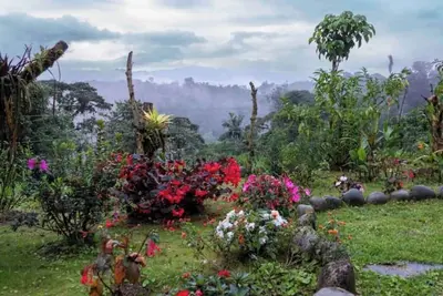 Image de Shanti hOMe Be embraced by Mother Nature w/private waterfalls and river access