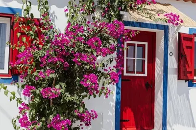 Image de Casa Vó Briata