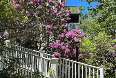 Image de Peaceful retreat among the trees only a five minute walk to Perkins Cove