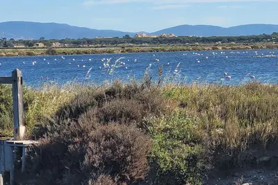 Image de T2 grande terrasse, proche de la mer