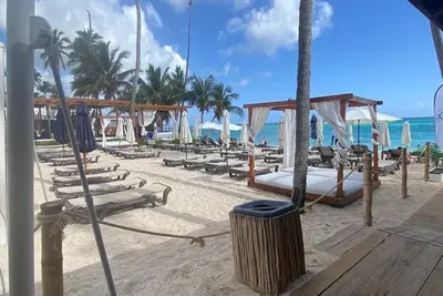 Image de Fist Step Home