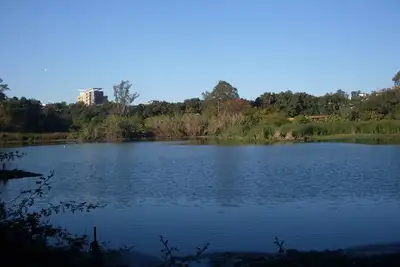 Image de Bungalow Dowtown in a Park With Lake, Birdwatch