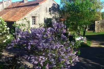 Image de Maison en pierre au cœur du Larzac – Nature, chevaux en liberté et détente assurée