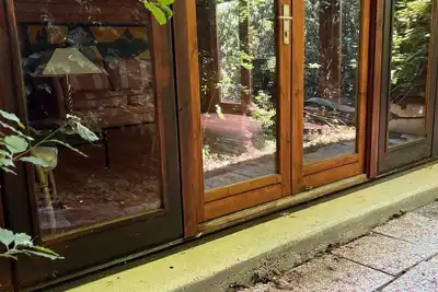 Image de Lovely wooden accommodation surrounded by greenery