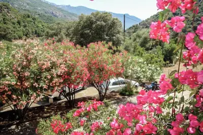 Image de Residence Cabanaccia Studio 38m² by Interhome