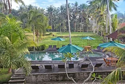 Image de Ubud Blissful 1 Bedroom Private Pool Villa With Rice Field View