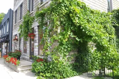 Image de Vieux-Old Farnham Appart Condotel1