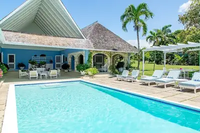 Image de Little Palm