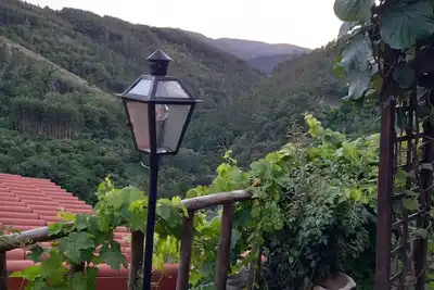 Image de Cozy Cottage Mountain Pet-Friendly