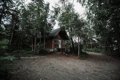 Image de Relax at this cozy, well appointed cabin located in sunny Knik, Alaska.