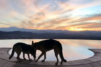 Image de Stylish Cottage @La Cresta, nestled in a private wineyard, close to Temecula\/Sd.