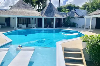 Image de Sugar Magnolia