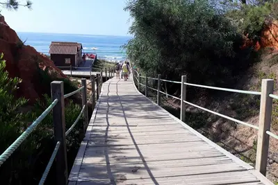 Image de Top Alfamar