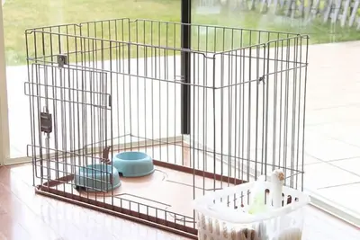 Image de Kawaguchiko Urban Resort Villa